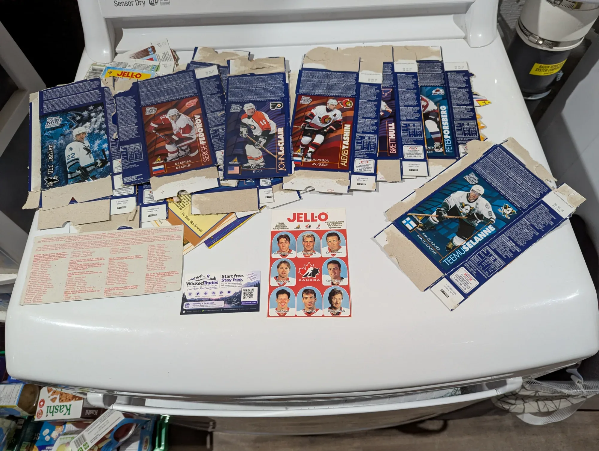 KD Hockey Cards Collection